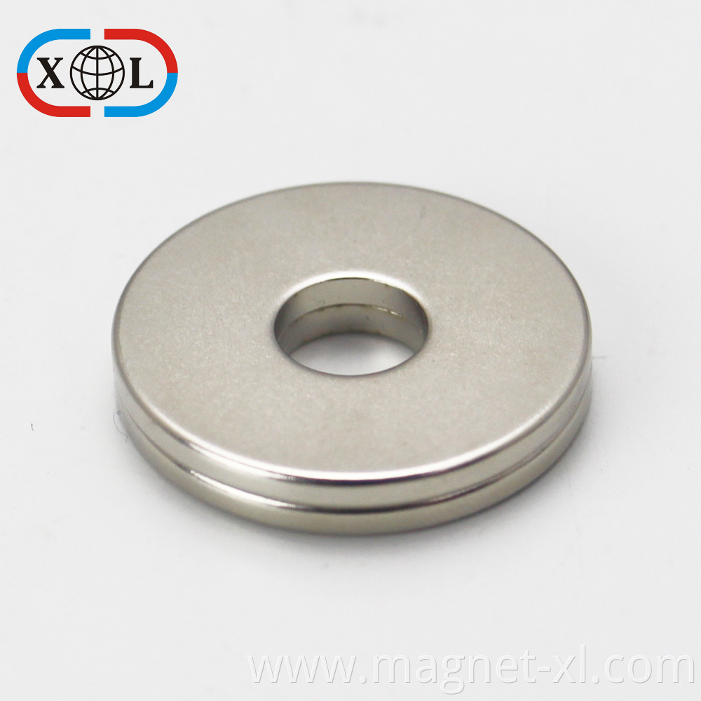 Permanent Rare Earth Ring Magnet